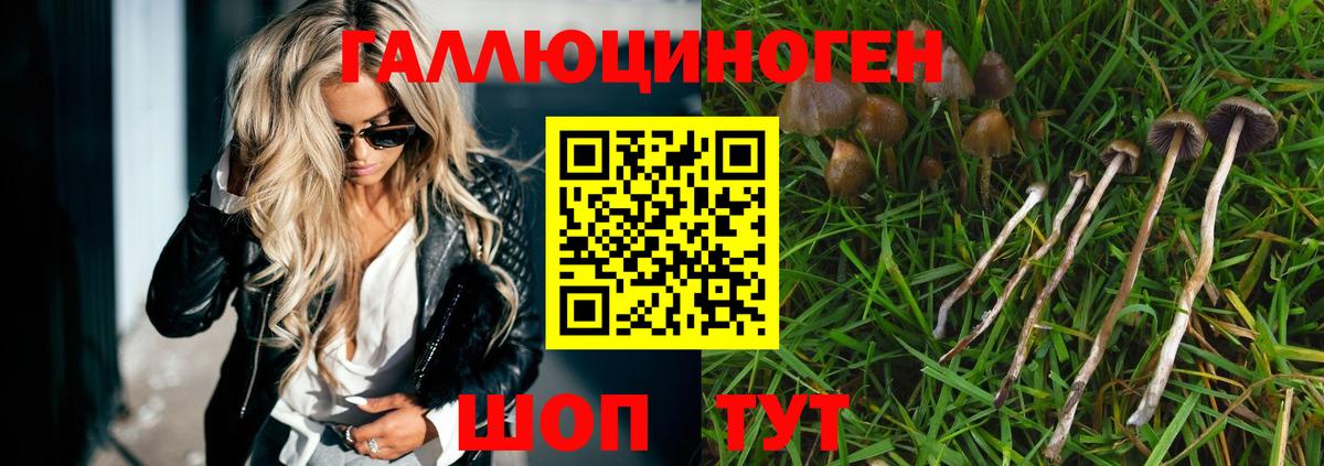 Галлюциногенные грибы мицелий Ханты-Мансийск